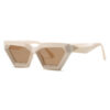Wholesale Personality Irregular PC Sunglasses