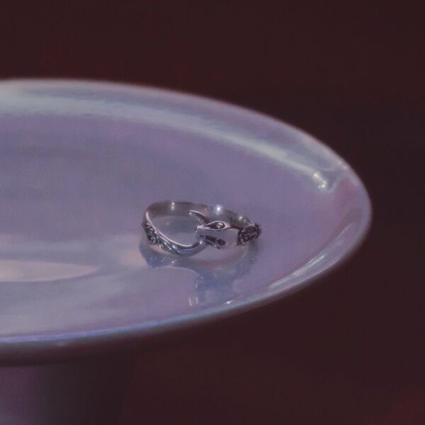 O1CN01jietKy1ql50pBFrZm_3024325535-0-cib Wholesale Alloy Adjustable Snake Bone Ring