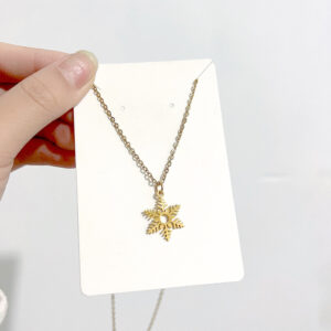 DN144 Snowflake