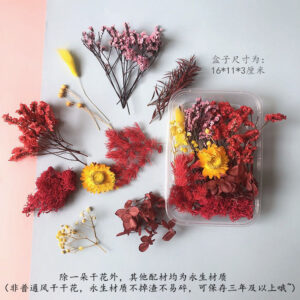 Flower field
