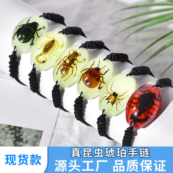 O1CN01ko1SHR1DYTBrc8Dk2_2213118690228-0-cib Wholesale 6pcs High Transparent Resin Insect Amber Woven Specimen Bracelet
