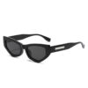 Wholesale PC Ladies Cat Sunglasses