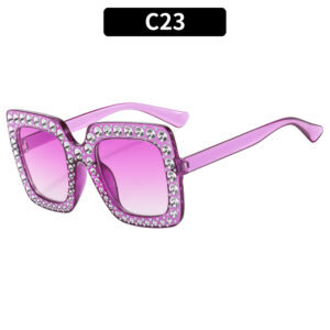 C23-transparent purple frame double purple piece