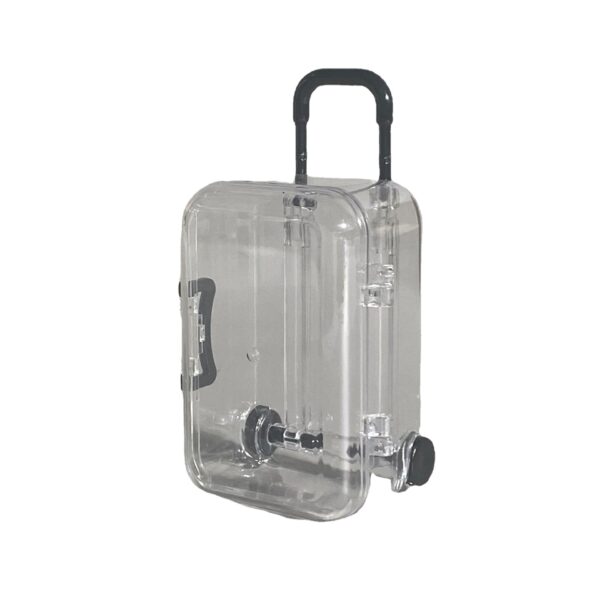 Wholesale Plastic Mini Trolley Luggage Storage Box