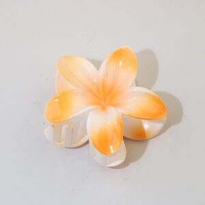 #5 Orange-Gradient / Packaging method [bulk]