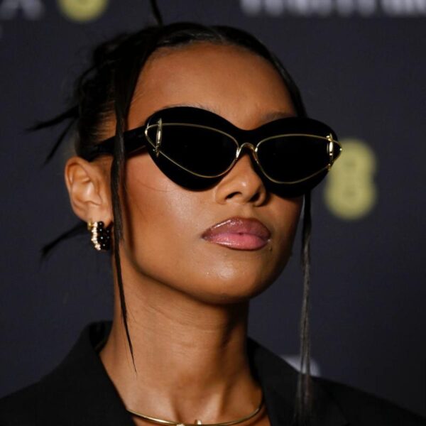 Wholesale Fashion Cat Eye Y2K Small Frame Sunglasses