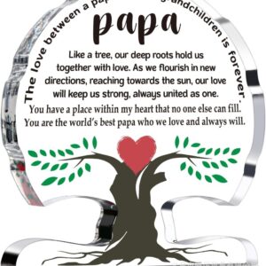 12.5 x 12 x 1.5cm / papa