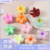 Wholesale Colorful Frangipani Resin Hair Clips