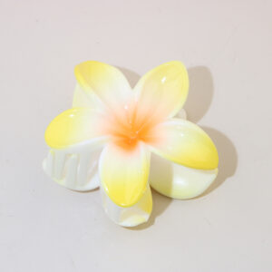 #2 Yellow-Gradient / Packaging method [bulk]