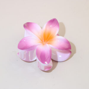 #6 Fuchsia-Gradient / Packaging method [bulk]