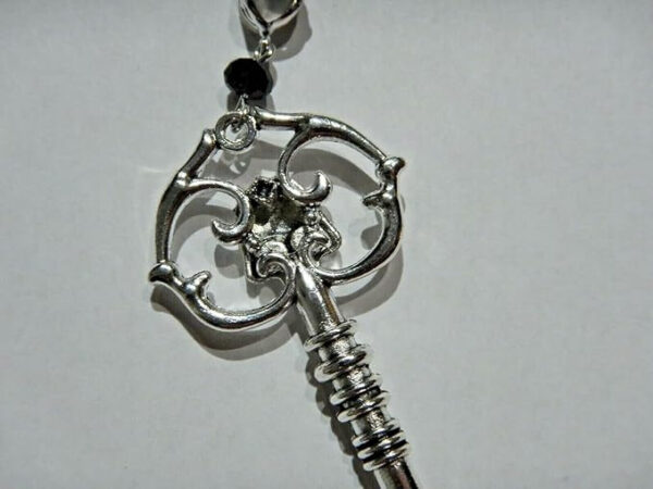 O1CN01o6LbJw1QXdTayOobg_2216588181986-0-cib Wholesale Gothic Dark Skull Key Necklace