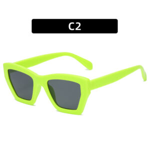 C2-GREEN FRAME GRAY