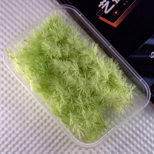 Fruit green penglai pine 10g