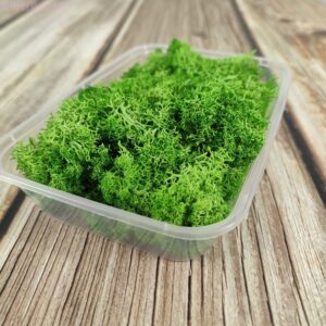Green moss 20g