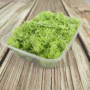 Fruit green moss 20g
