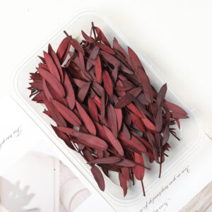 Red eucalyptus leaves 10g