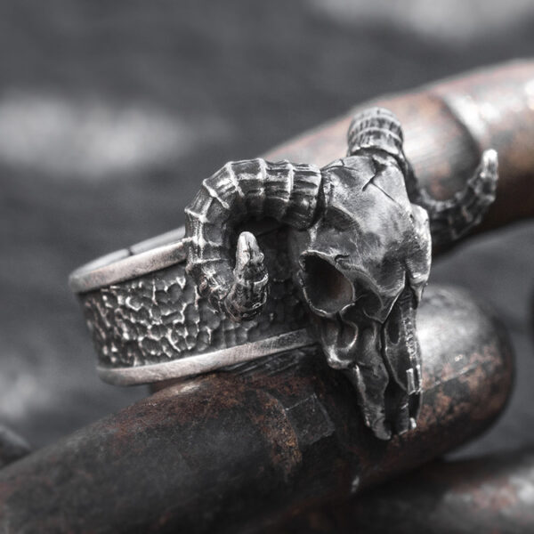 O1CN01oxguF61ql52cVtzyb_3024325535-0-cib Wholesale Alloy Retro Punk Skull Horn Ring