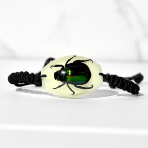 Luminous golden turtle