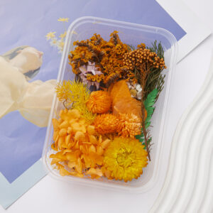 7# citrus dried flower box