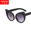 Wholesale New Cat Eye PC Sunglasses