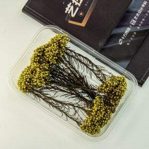 Yellow millet flower 10g