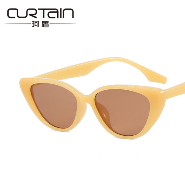 O1CN01quFyiZ1Gyyr5DlReo_2340660692-0-cib Wholesale Retro Triangular Cat Eye PC Sunglasses
