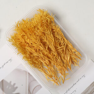 Bleached melaleuca ginger 10g