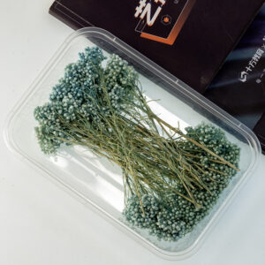 Bleached nilan xiaomi flower 10g