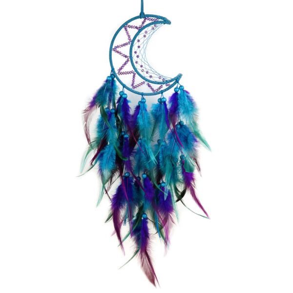 O1CN01sSL4Zi2DVGXB4I1Z3_2200613278614-0-cib Wholesale Dream Catcher Pendant Diy Hand-woven Feather Decorations