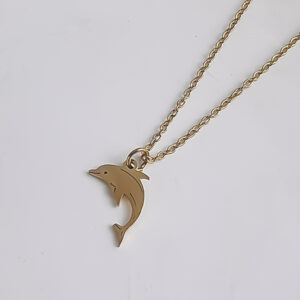 Dolphins