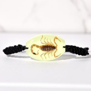 Luminous yellow scorpion