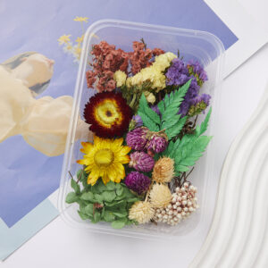 5# flower-like brocade dried flower box