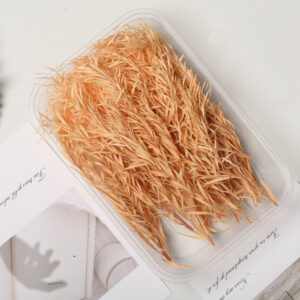 Bleached thousand layer gold champagne color 10g