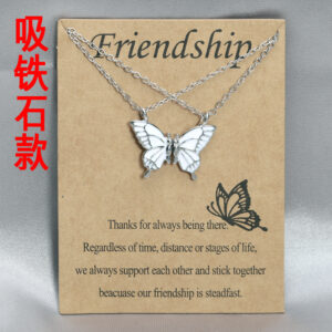 Magnet Silver + White