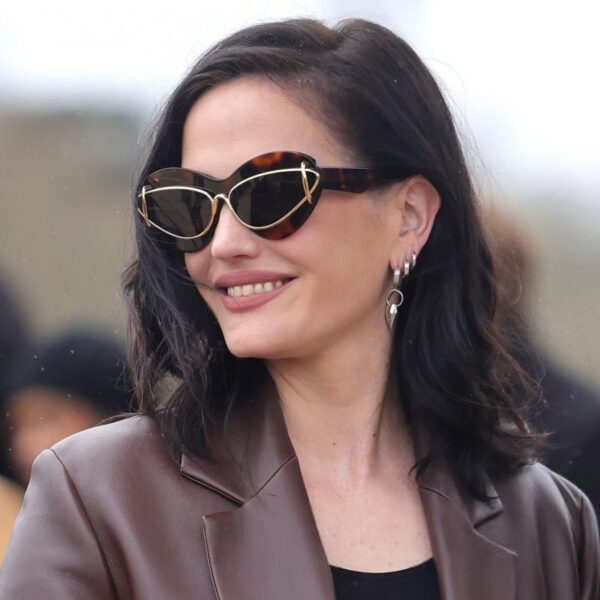 Wholesale Fashion Cat Eye Y2K Small Frame Sunglasses