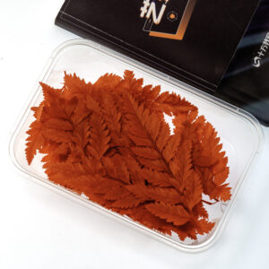 Red alpine sheep teeth 10g