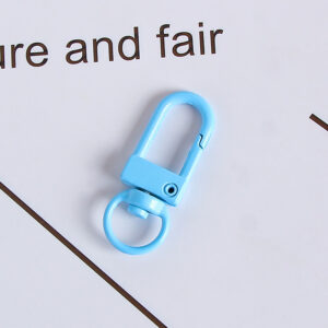 Light Blue / Small door buckle