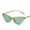 Wholesale Small Frame Cat Eye PC Sunglasses