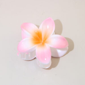 #4 Pink-Gradient / Packaging method [bulk]