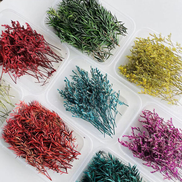 Wholesale Dried Fruit Cinnamon Dried Flowers Diy Material Package Natural Plant Candle Handmade Plaster Making Decoration