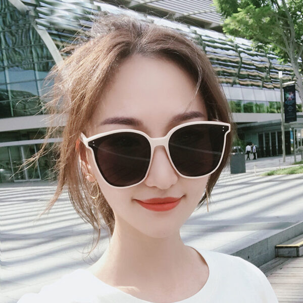 Wholesale Large Frame PC Sunglasses