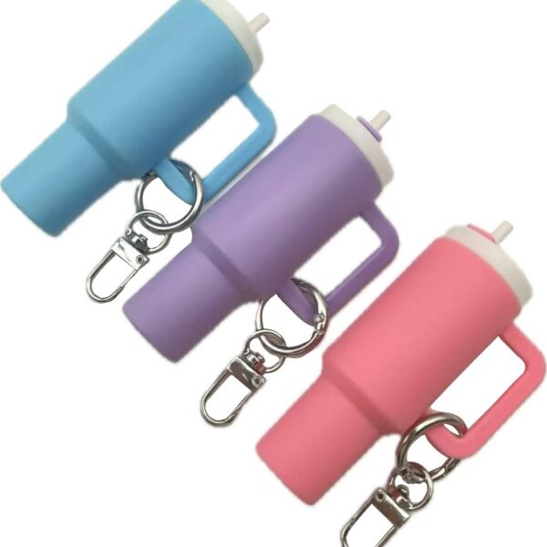 Wholesale Detachable Mini Tumbler Cup Keychains