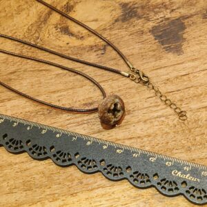 Eucalyptus fruit style