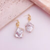 Wholesale Baroque Special Shape Pearl Earrings