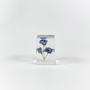 Little blue rose (6 starting shots)