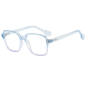 Metal hinge / Blue frame white flat