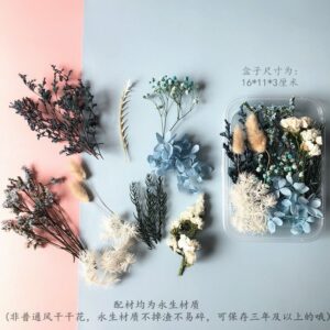 Ice and Snow Orchid