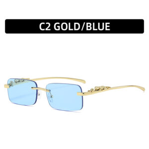 C2-Gold Frame Blue