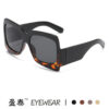 O1CN01wyeQVI22DtmnpWDdq_2917127087-0-cib Wholesale New Ladies Large Square Frame PC Sunglasses