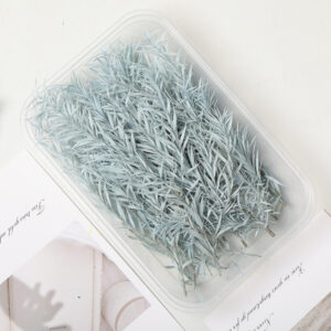 Bleached thousand layer gold gray 10g